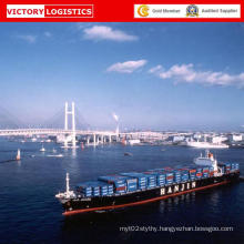 Shipping Container/Sea Freight/Sea Shipment From China to Worldwide (Shipment)